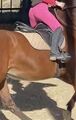 pantalon enfant 14ans