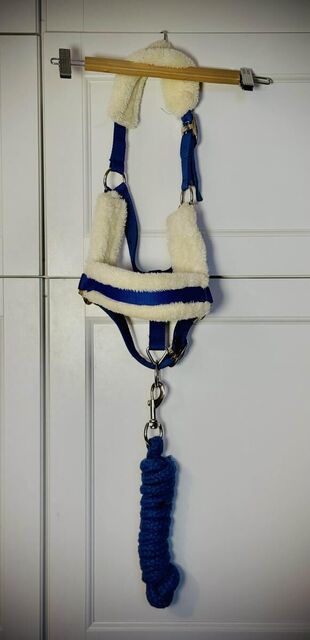 Licol Mouton Norton Bleu Vif Poney-Shetland