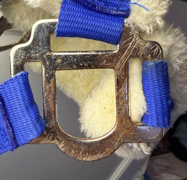 Licol Mouton Norton Bleu Vif Poney-Shetland