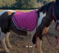 tapis paddock sport rose