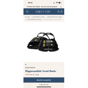 Hipposandale