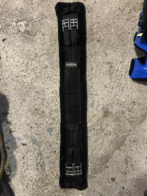 sangle courte de dressage