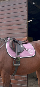 Selle meyer 17,5