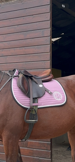 Selle meyer 17,5