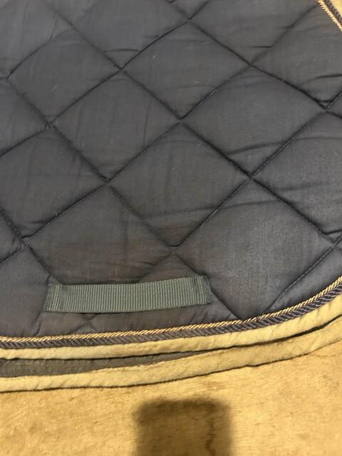 tapis bleu privilège équitation