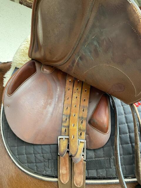 Selle équipe expression 17’5