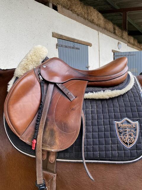 Selle équipe expression 17’5