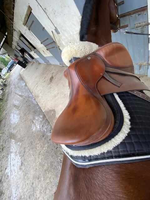 Selle équipe expression 17’5