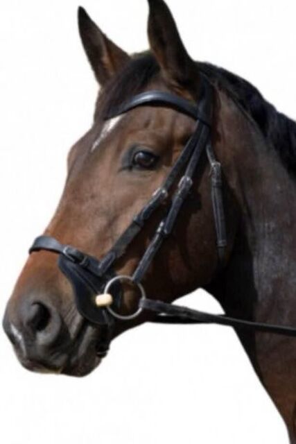 muserolle fautras astuces taille cheval