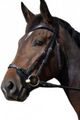 muserolle fautras astuces taille cheval