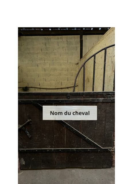 Plaque de box Personnalisée Nom du cheval