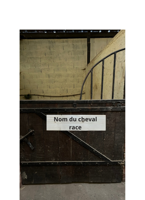 Plaque de box personnalisée Nom du cheval + Race