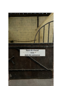 Plaque de Box personnalisée Nom du cheval + Race + Date de Naissance