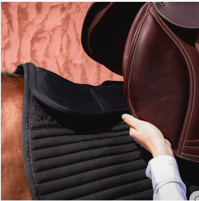 Amortisseur CWD fitting