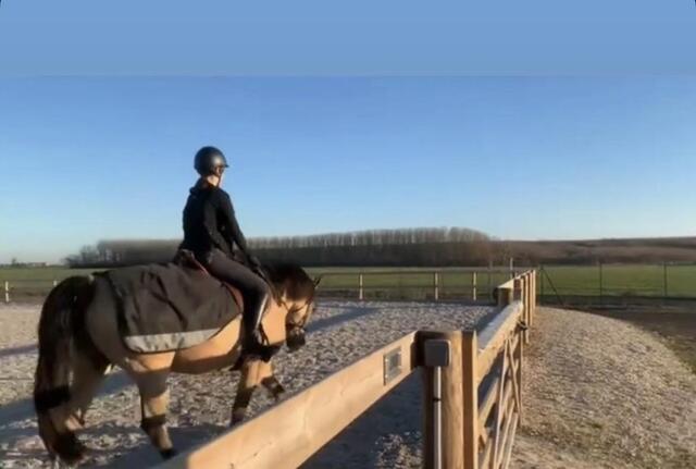 Couvre reins Equithème 125