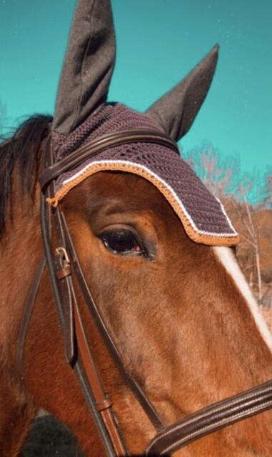 Ensemble tapis + bonnet cheval