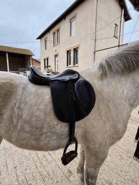 selle Eric Mondange