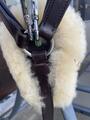 Collier de chasse 5 point brun lg