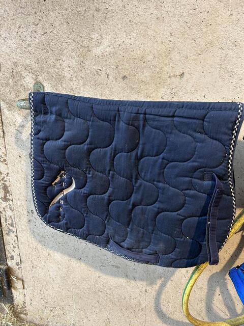 ancien tapis antares