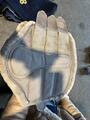 protections de dressage eskadron