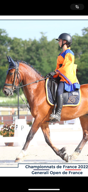 tapis dressage Naruto