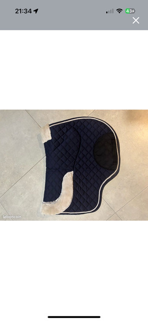 tapis