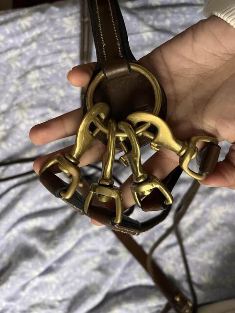 Gogue en cuir Éric Thomas taille full