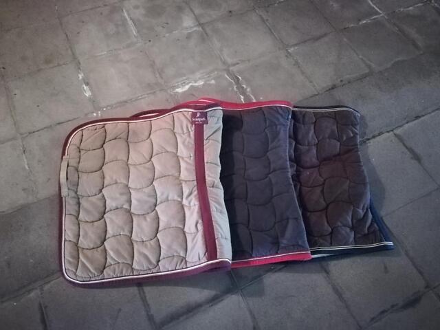 Tapis scarpati