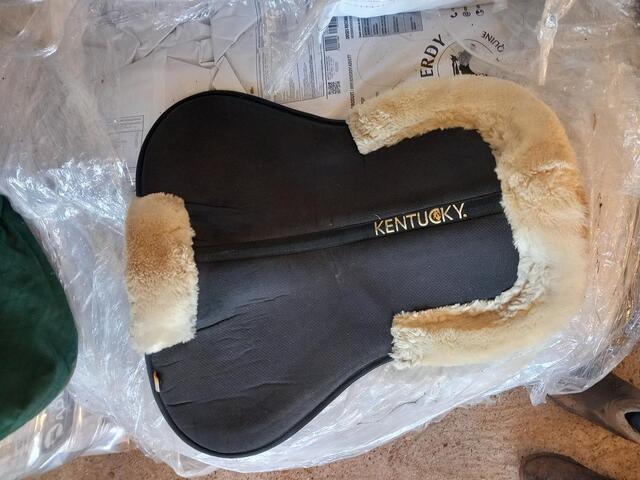 Amortisseur Kentucky