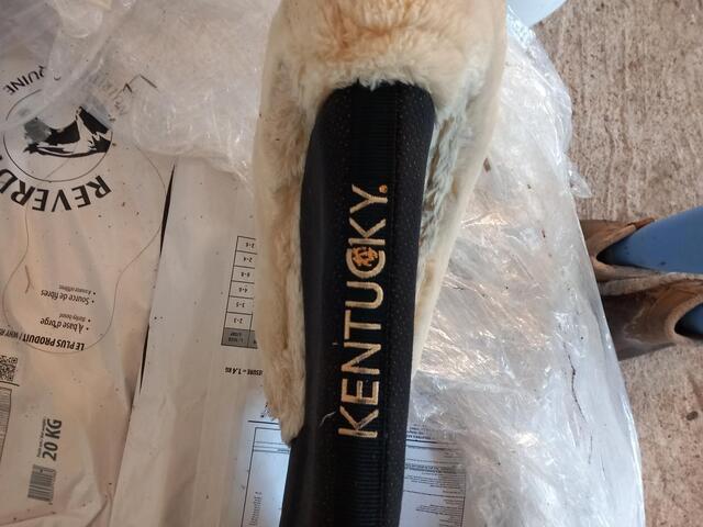 Amortisseur Kentucky