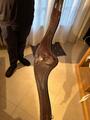 Selle Antares