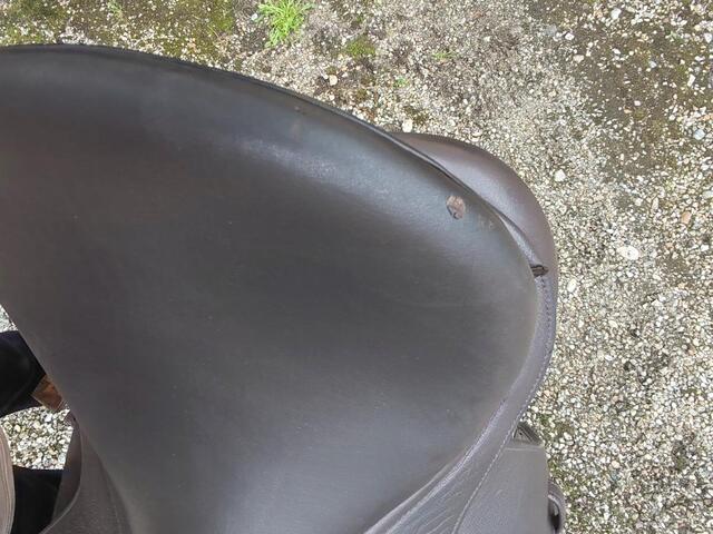 Selle mixte