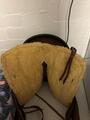 selle western Lakota