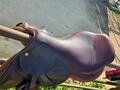 Selle CWD SE02 mixte 17"