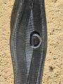 Selle CWD SE02 mixte 17"