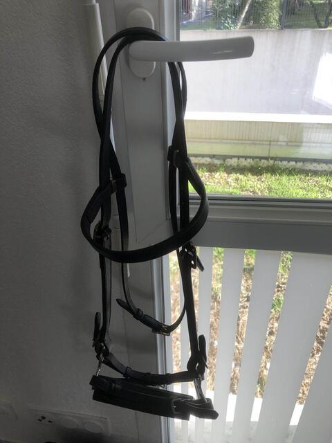 filet hackamore