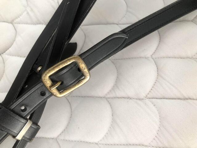 filet hackamore