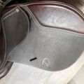 Selle Lamotte