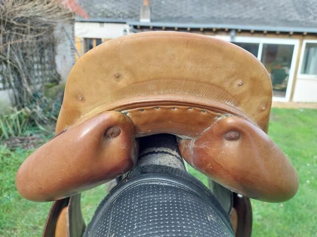 Selle forestier mixte