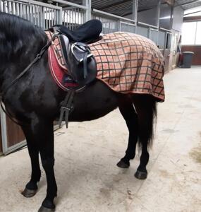 Couvre-Reins Qualitatif et imperméable, 150 cm