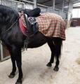 Couvre-Reins Qualitatif et imperméable, 150 cm