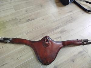 Sangle bavette Antarès taille 145cm