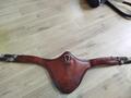 Sangle bavette Antarès taille 145cm