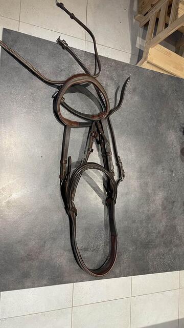 Filet silver crow cheval