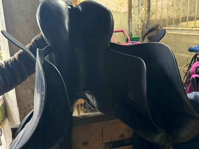 selle dressage