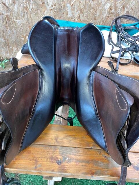 Selle forestier