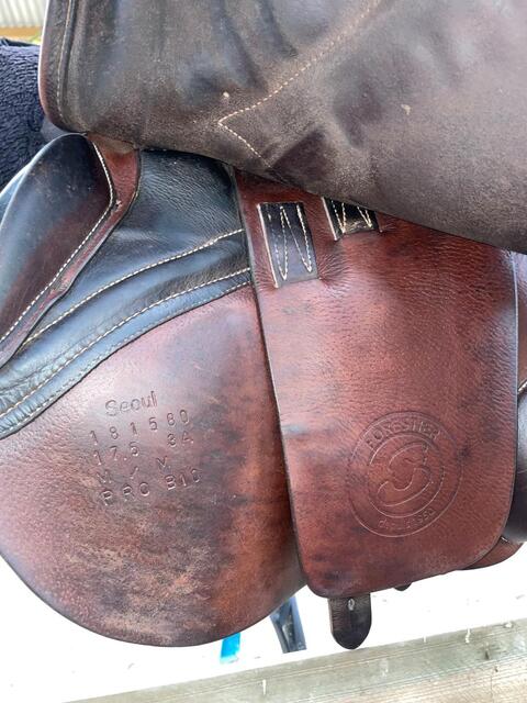 Selle forestier