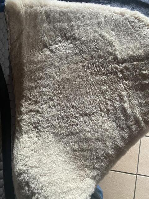 Tapis mattes