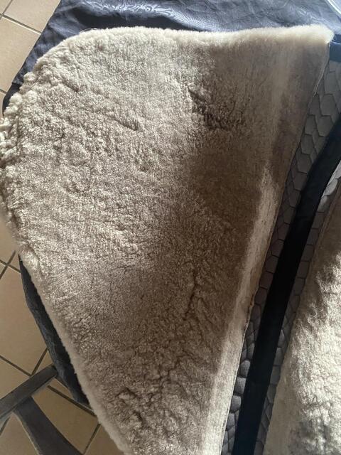 Tapis mattes