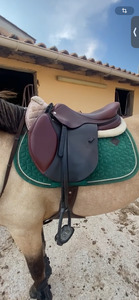 tapis kentucky